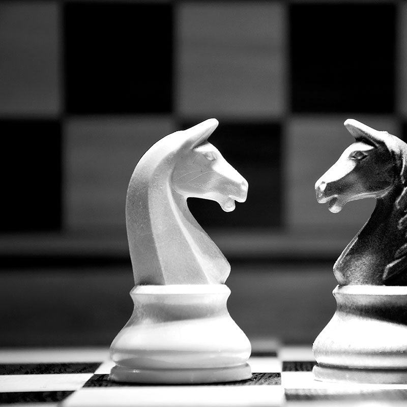 Konferencje i szkolenia